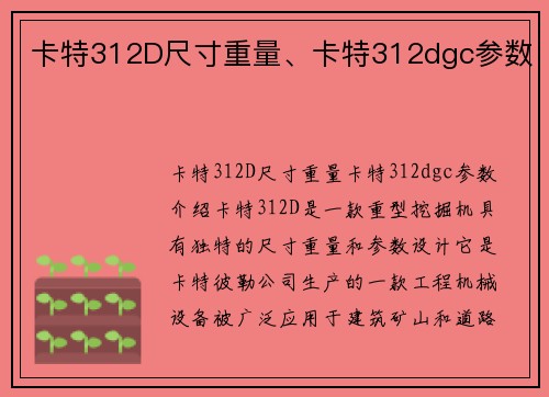 卡特312D尺寸重量、卡特312dgc参数