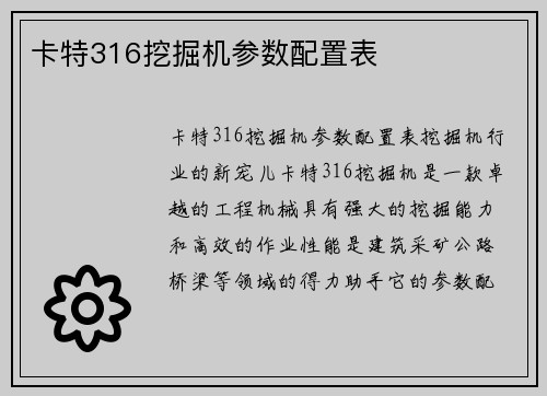 卡特316挖掘机参数配置表