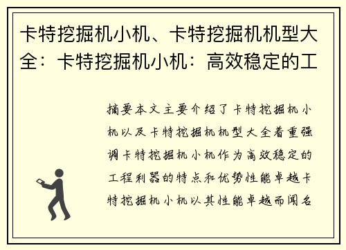 卡特挖掘机小机、卡特挖掘机机型大全：卡特挖掘机小机：高效稳定的工程利器